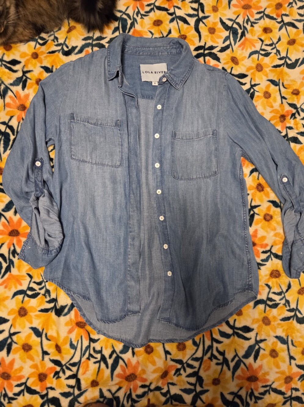Soft Denim Button Up